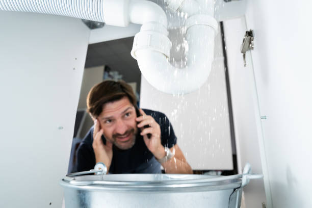 Best Septic Systems  in Rockford, IL